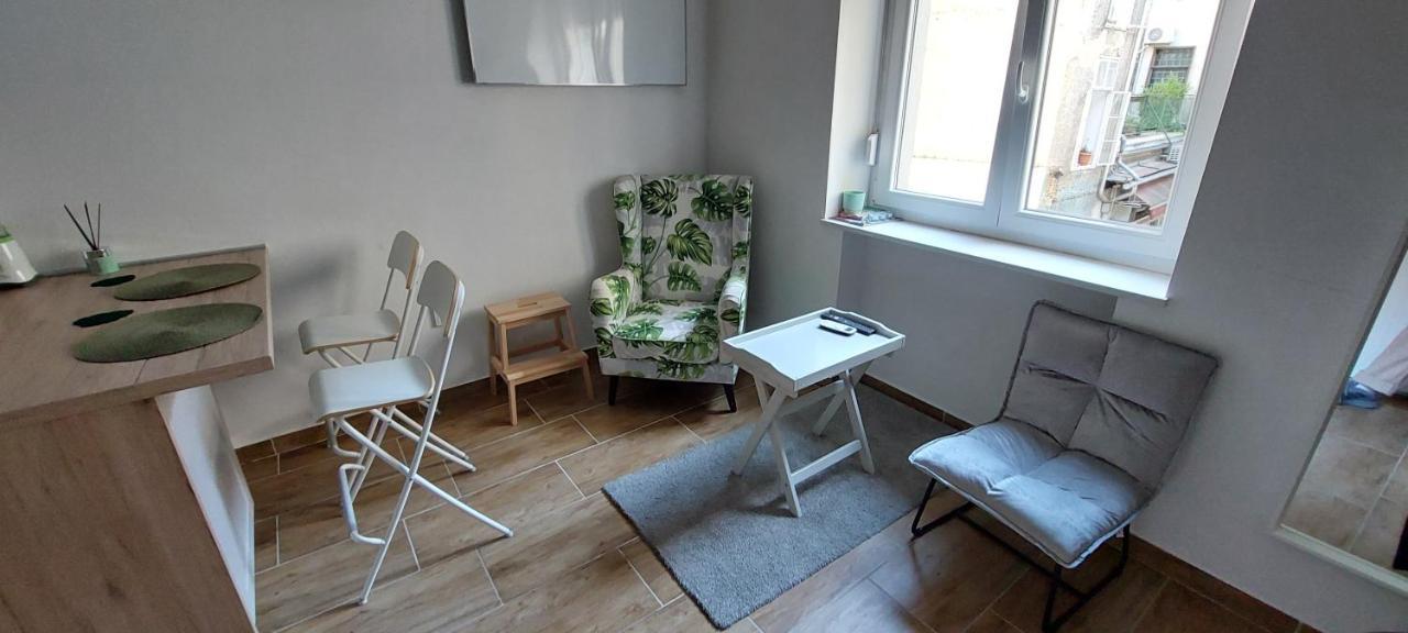 Studio Apartment In Center Of Zagreb Vidra