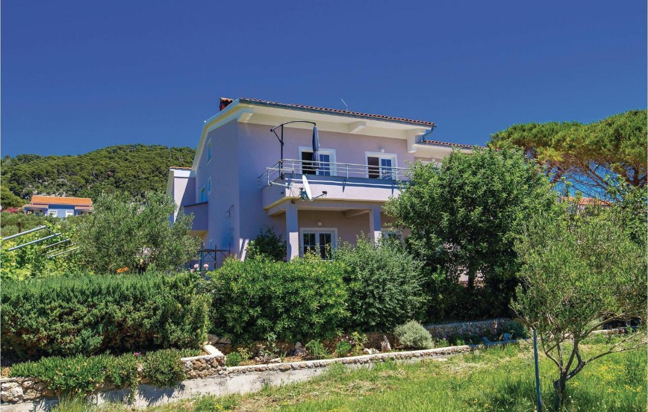 Amazing Apartment In Barbat Na Rabu