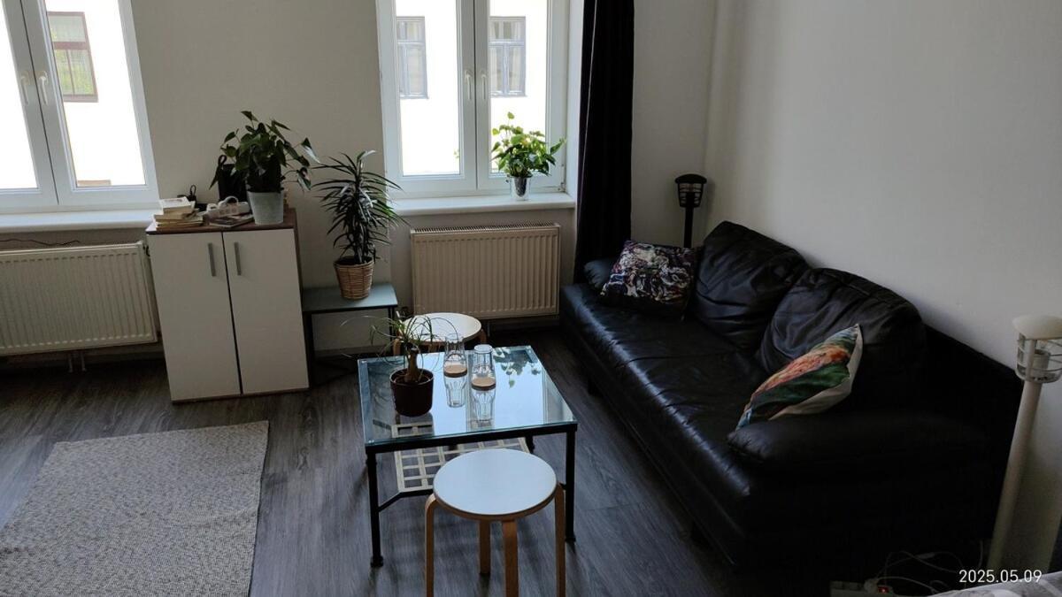 Vienna As It's Best Apartment Kokoschka