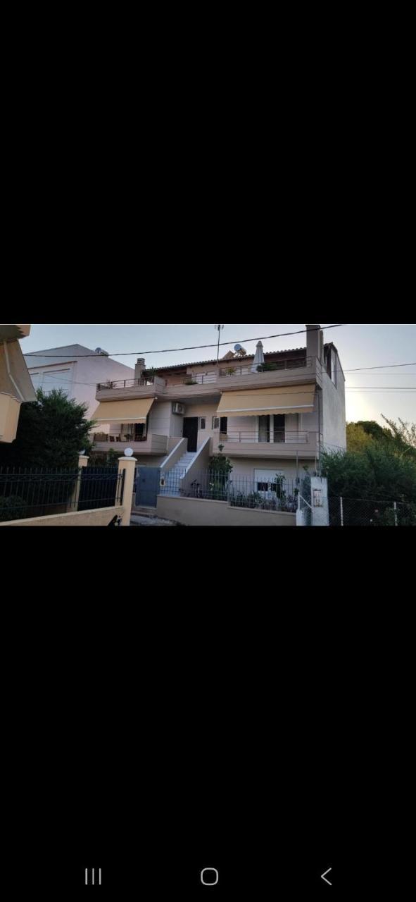 Cosy Flat Close To Sea