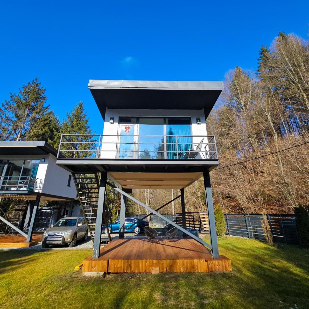 Urban Forest House