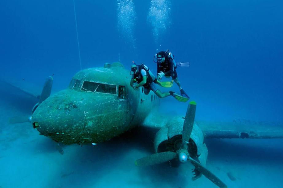 Neptune Dive Club