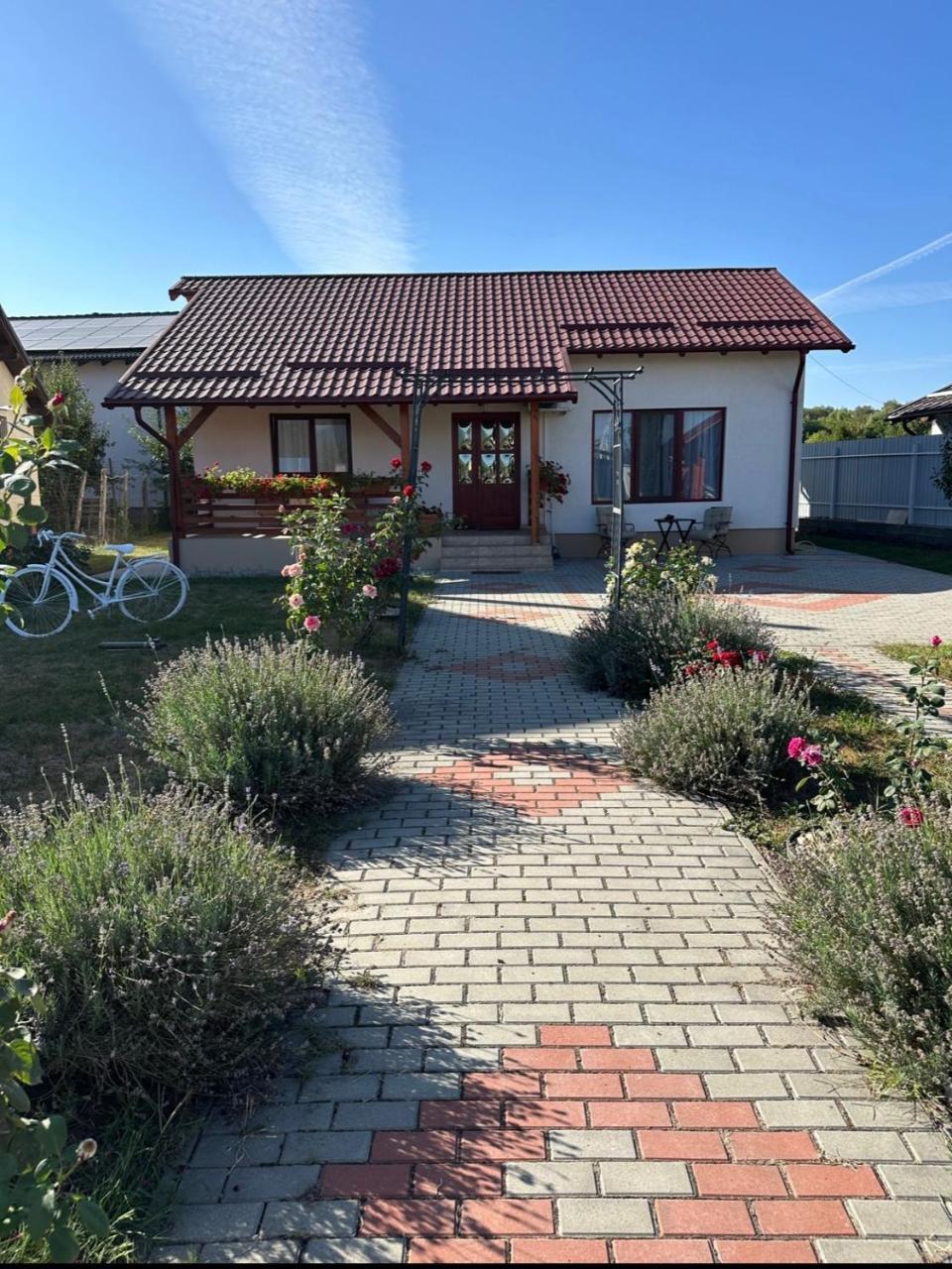 Mountain View House Brasov