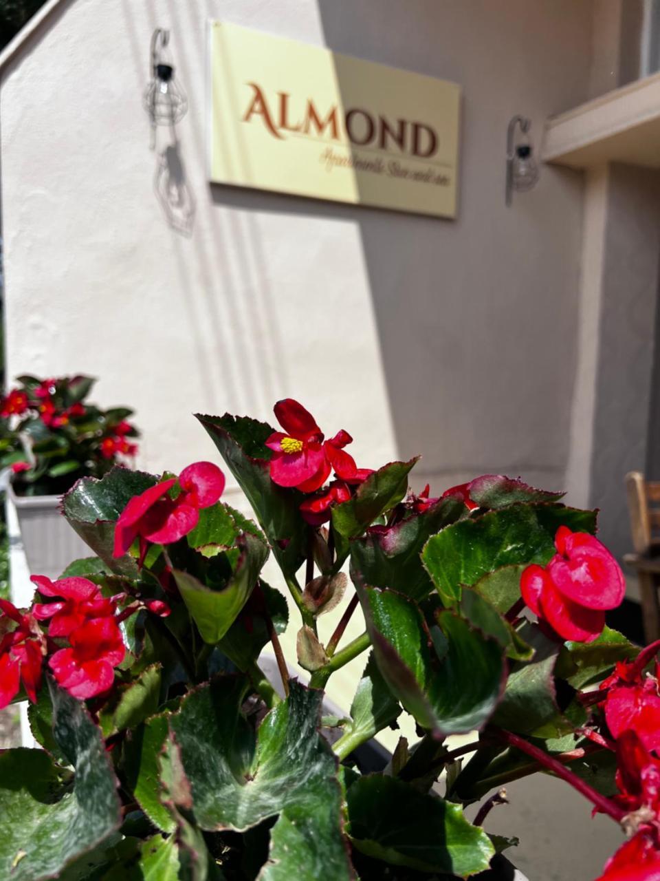 Almond Apartments Sun & Sea