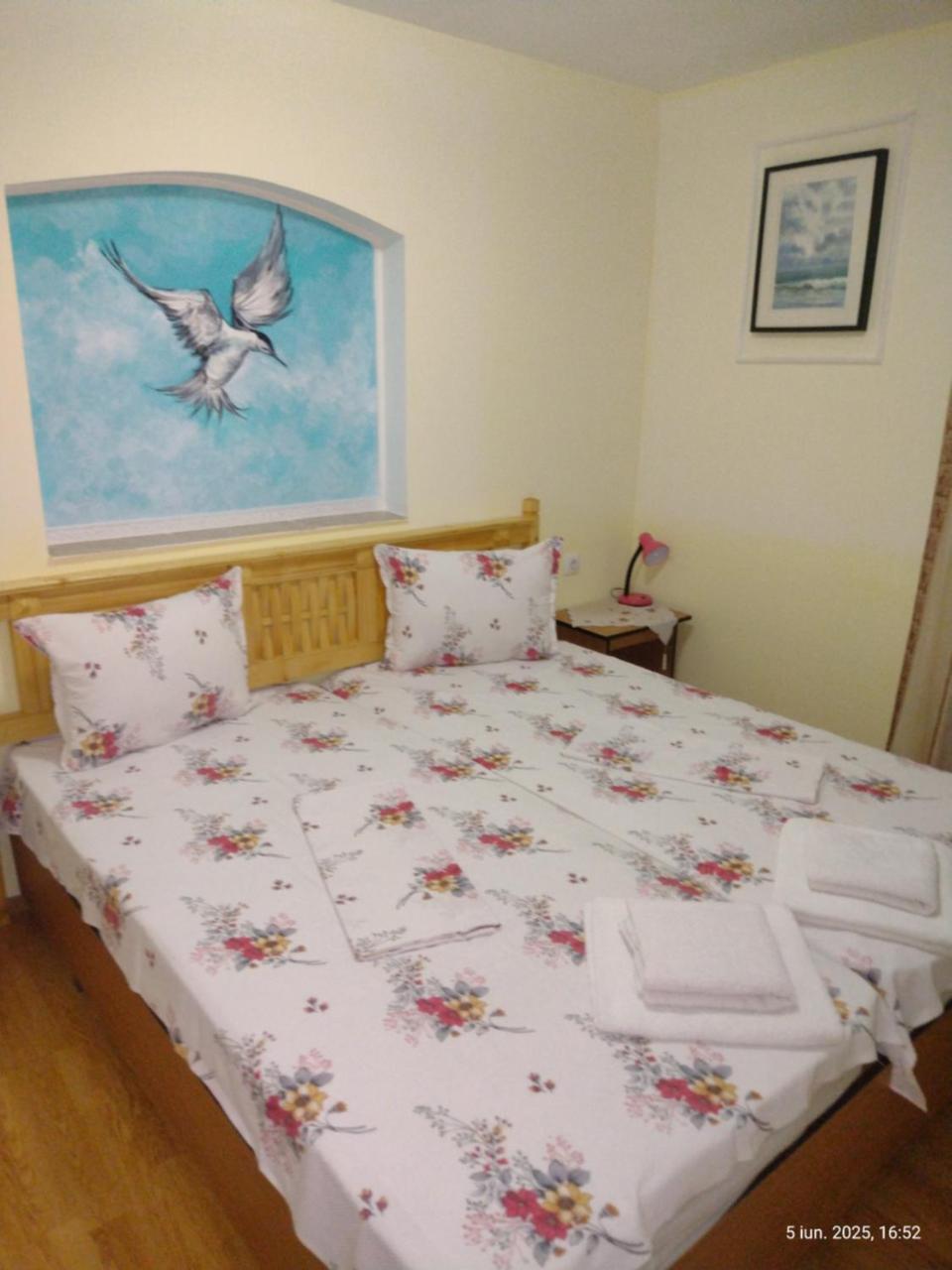 Casa de Vacanta Puiu
