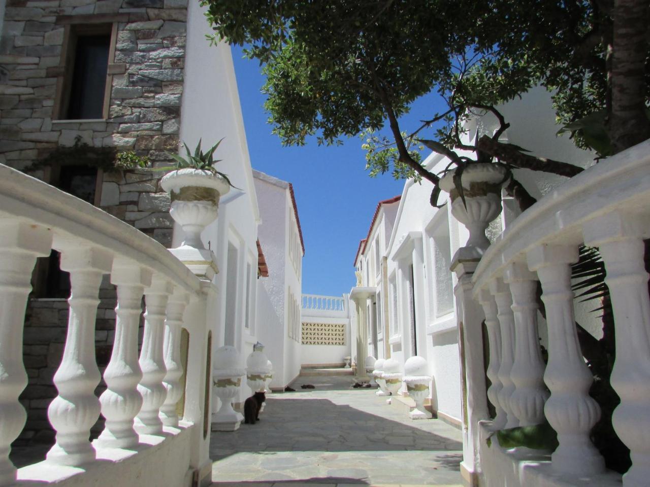 Castellino Studios