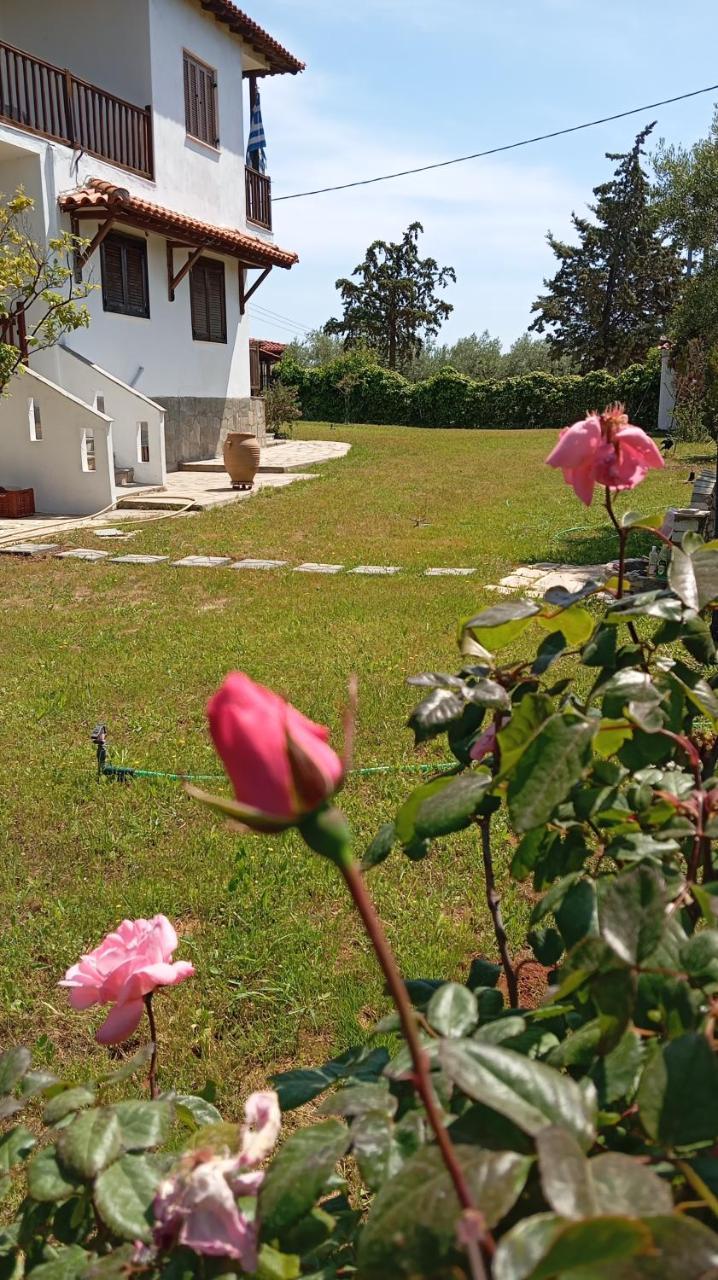 Stardust Family House