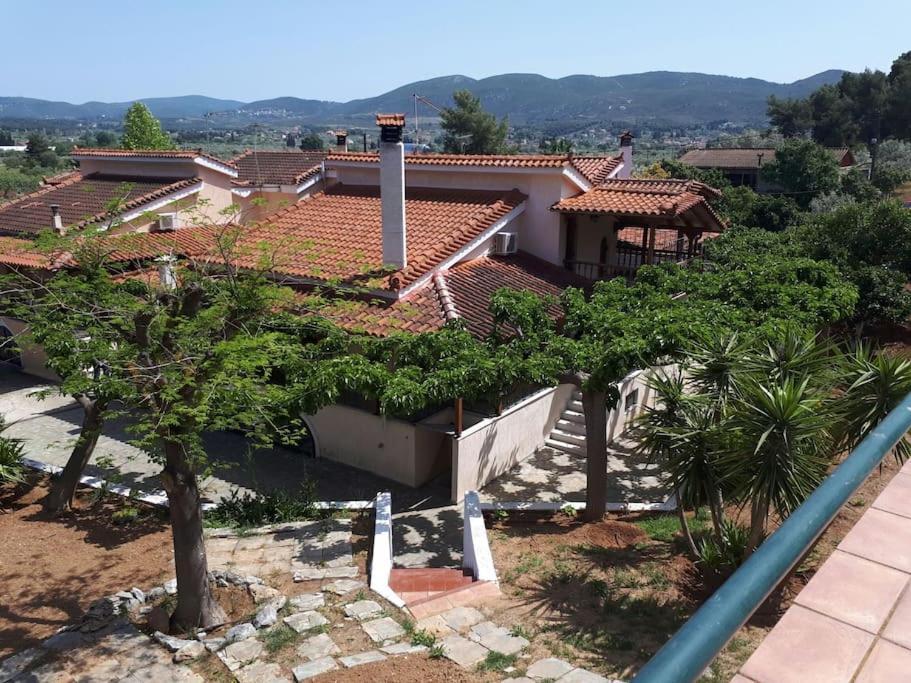 Villa Farmhouse
