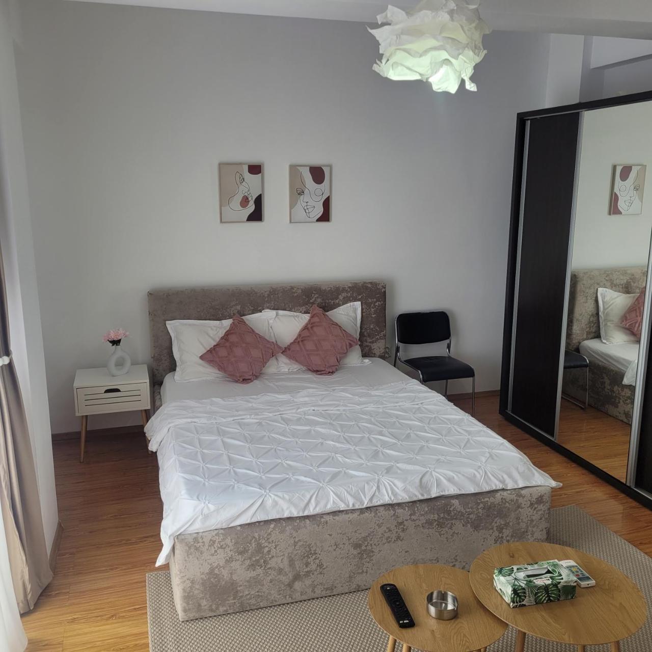 Garsoniera Spital Fundeni-dragonul Rosu