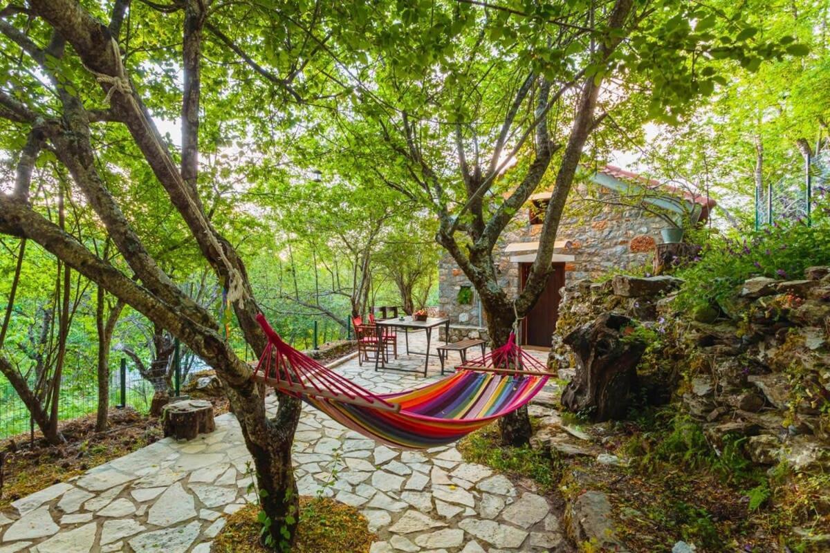 Stone Forest Escape Cozy Cinema & Starry Sky