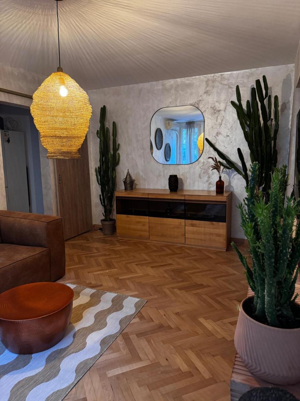 Cactus Apartment Boho Comfort