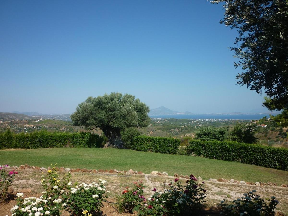 Landescape Villa Facing The Evian Gulf, Attica