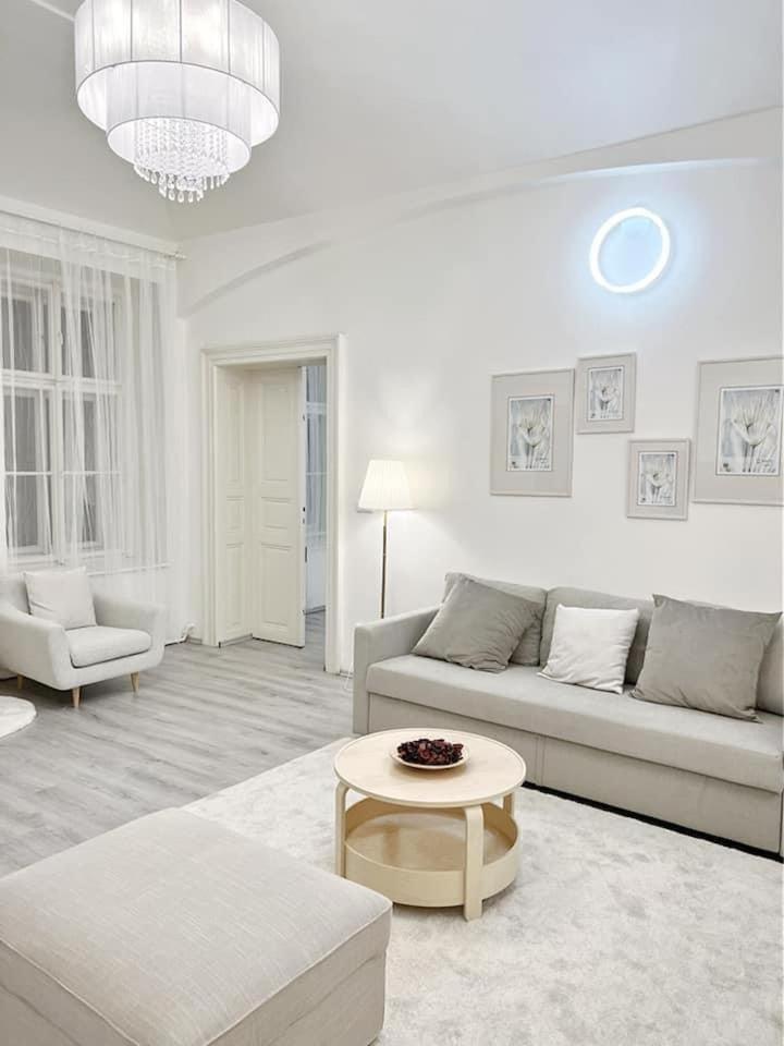 Elegant Cozy Apartment in Center Prague