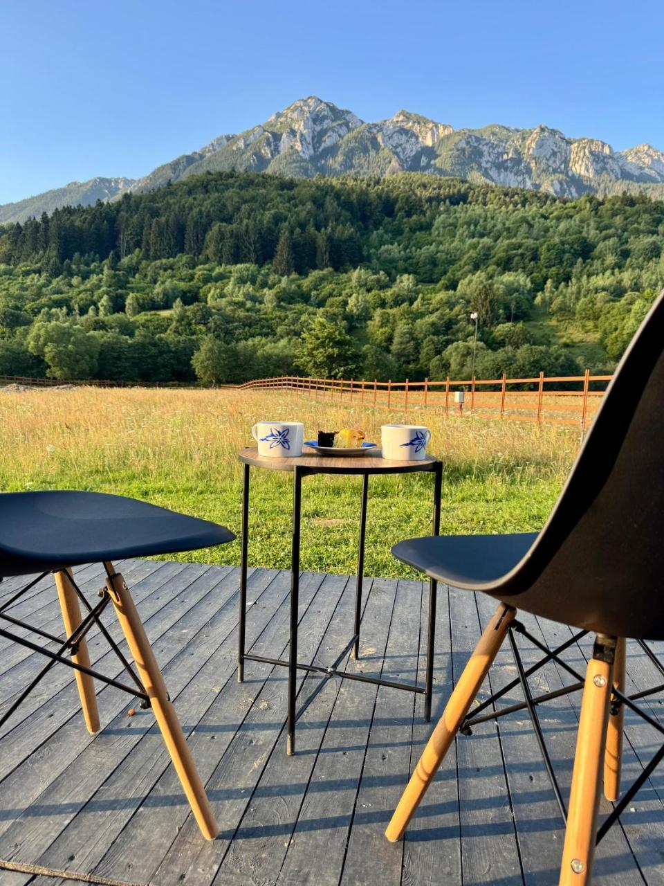 Peak View Tiny House