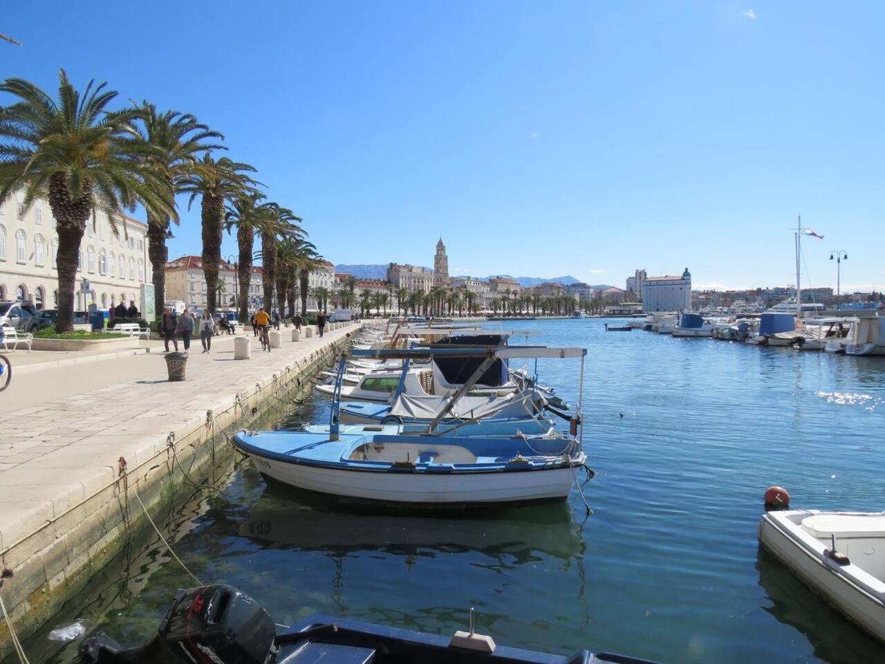 Sweet Peppermint View