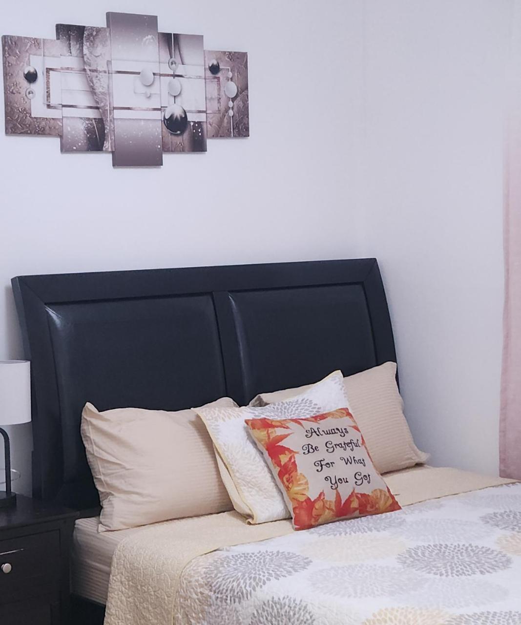 Abby's Comfort (Adults Only)
