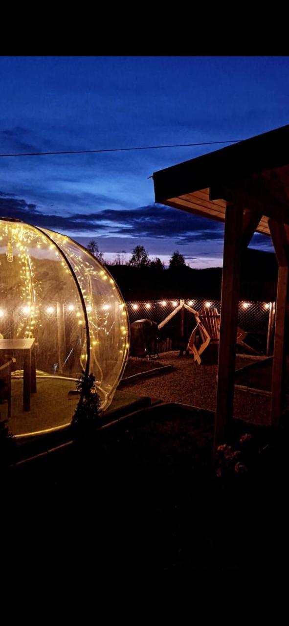 Tiny House Colibita