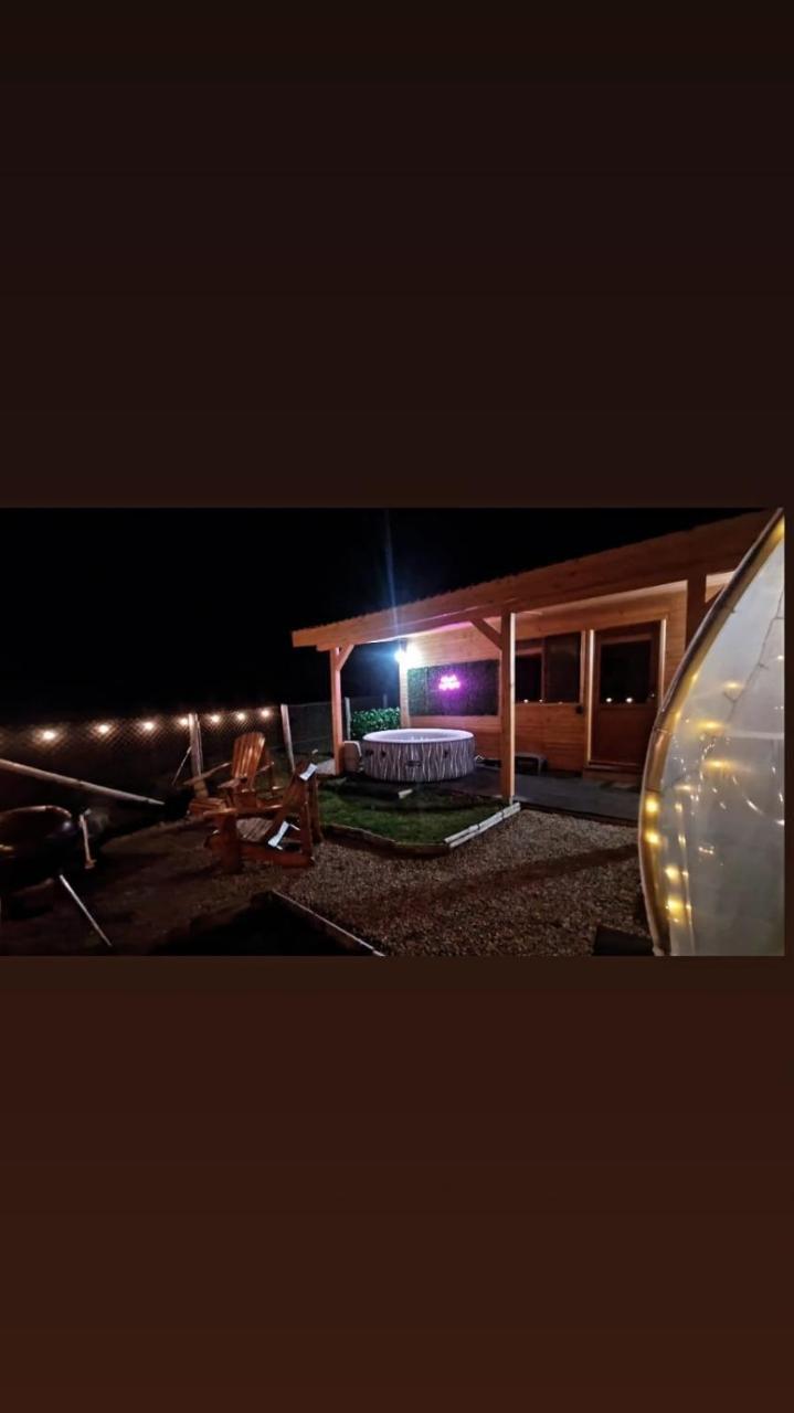 Tiny House Colibita
