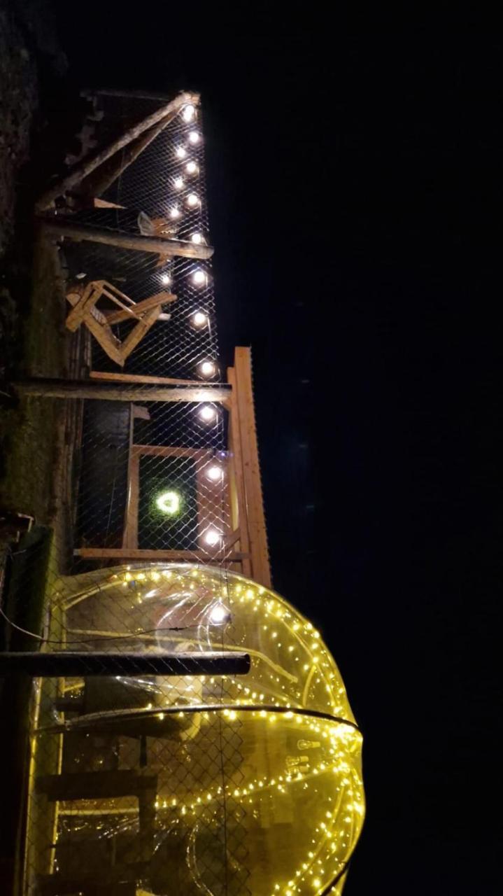 Tiny House Colibita