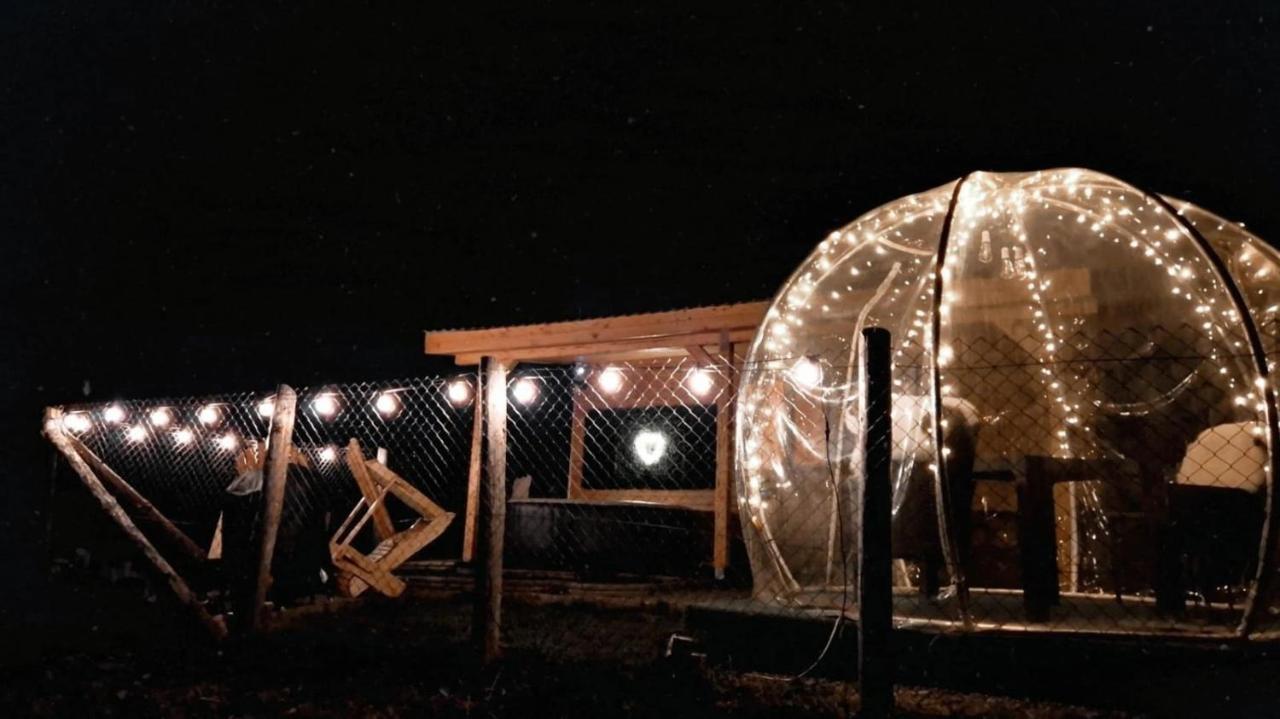 Tiny House Colibita