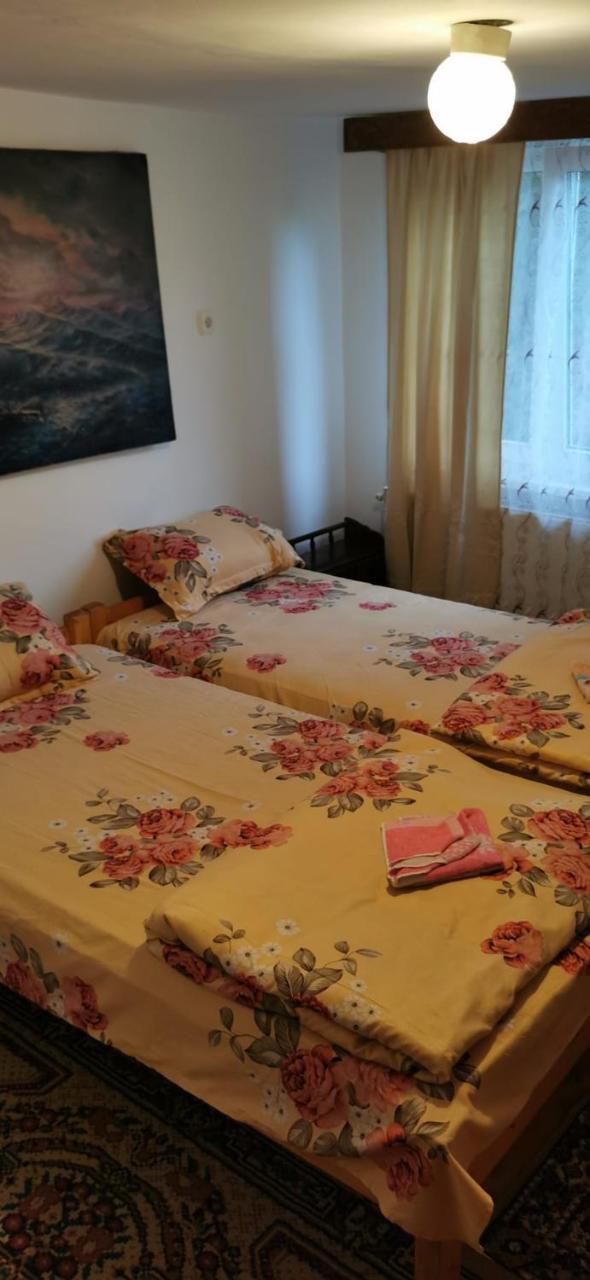 Cabana Silvia