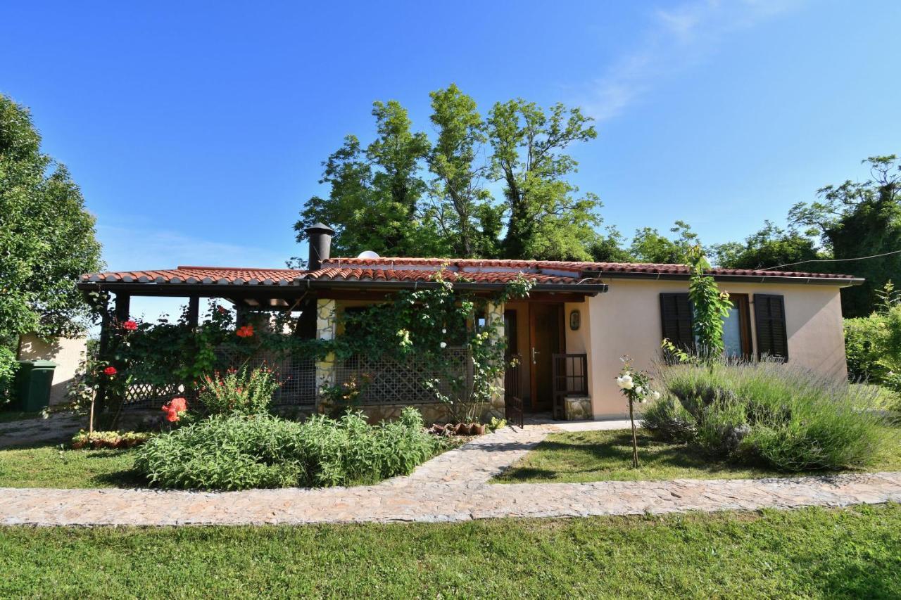 House Ariella