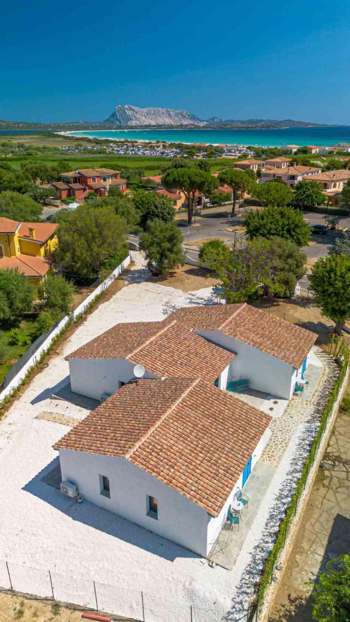Luxury Home La Cinta