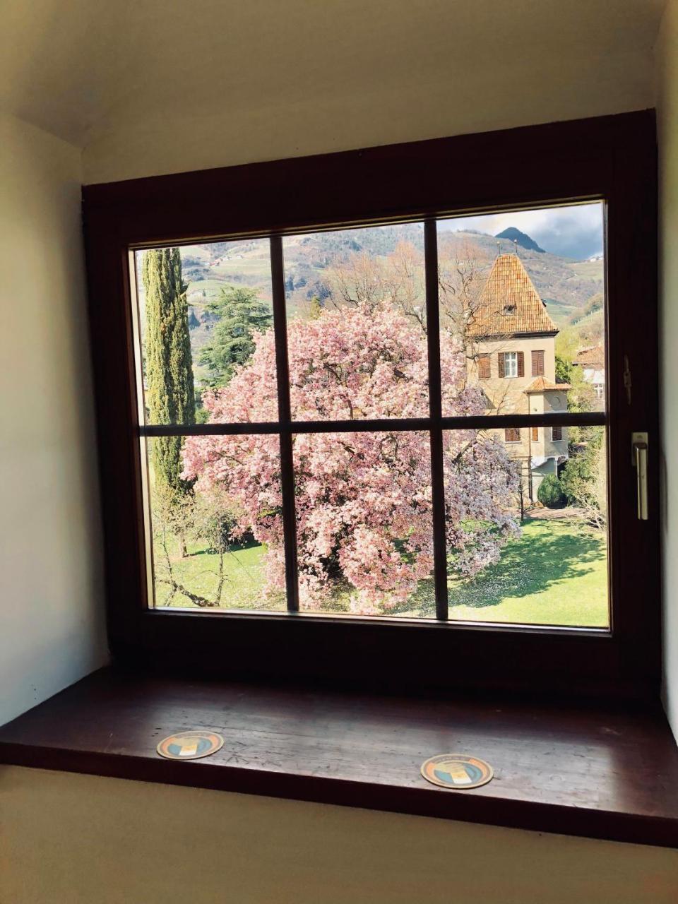 Villa Anita Rooms