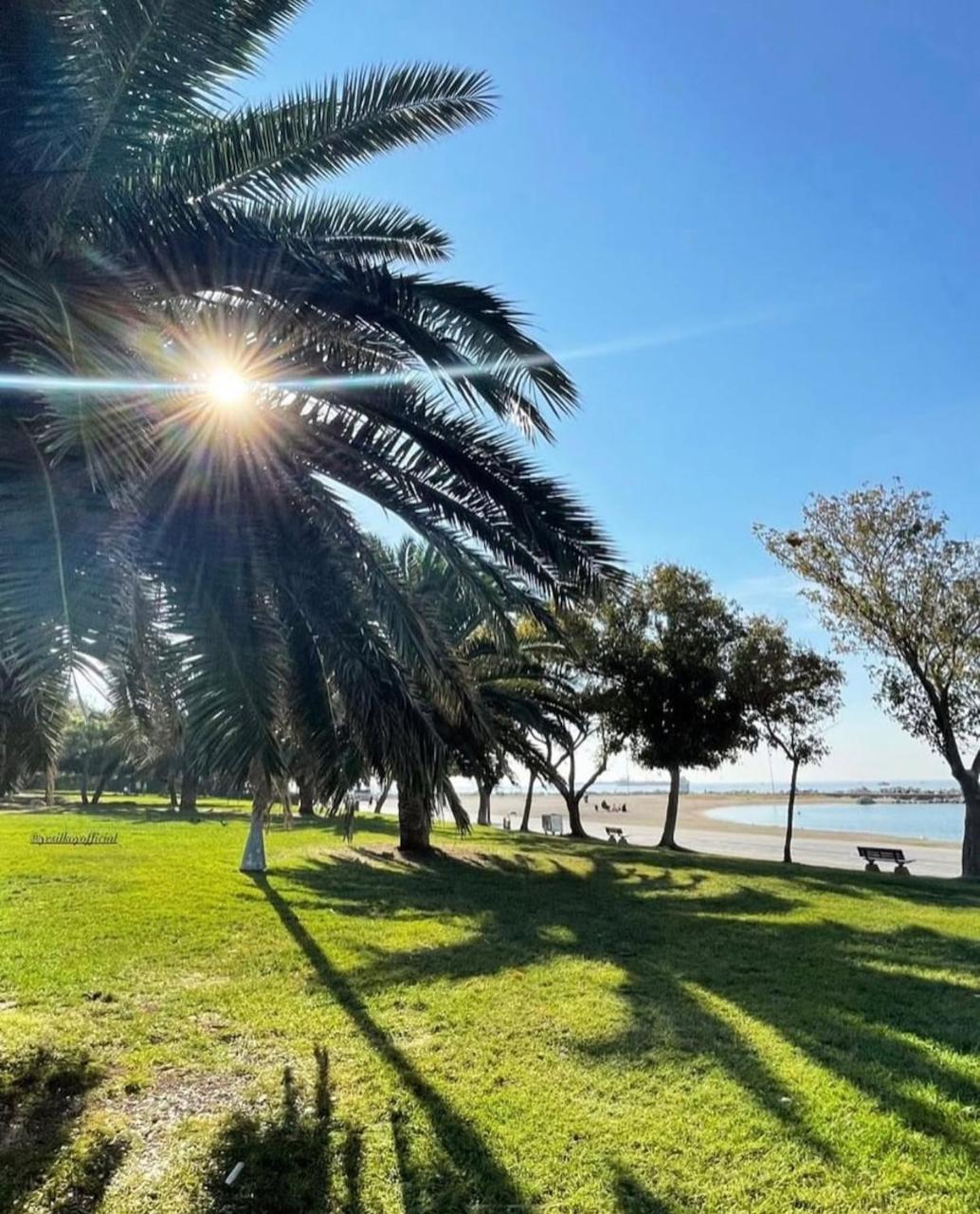 Heart Of Yesilkoy-green Village