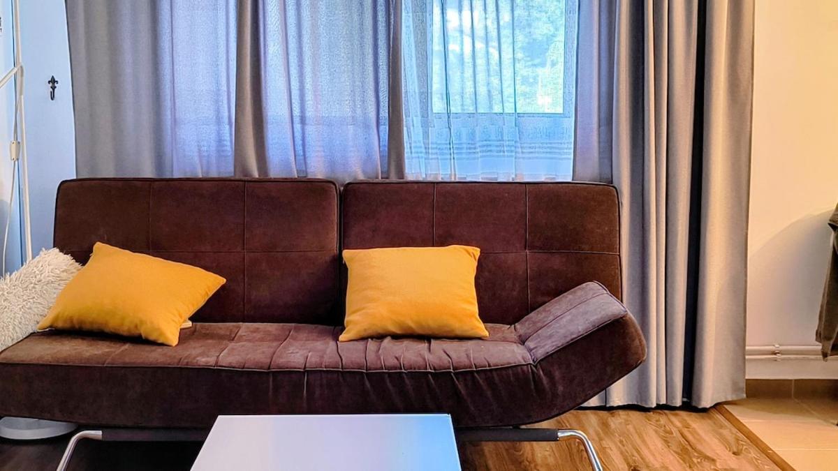 Apartment In The Heart Of Iasi