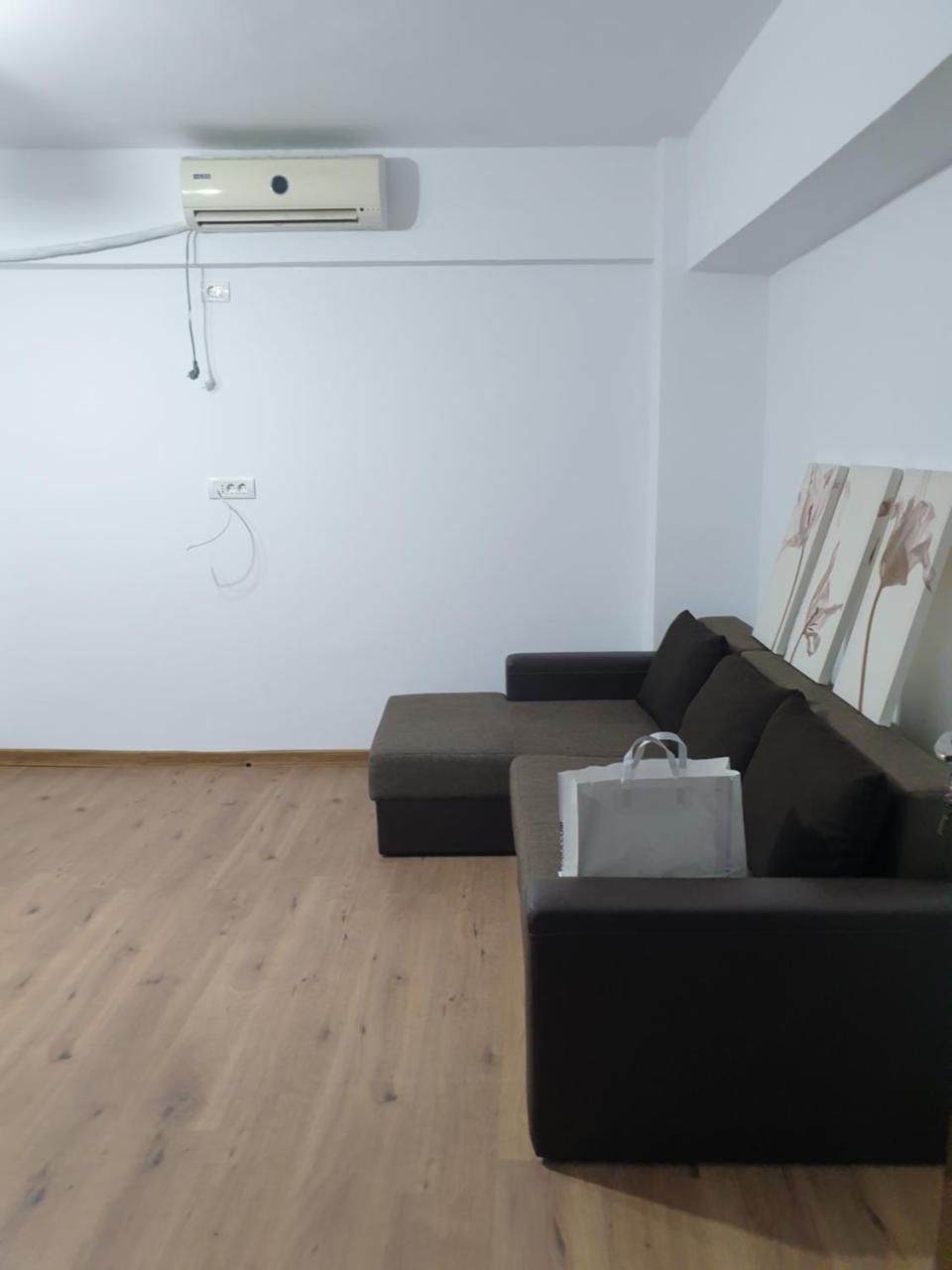 Brancoveanu Avenue Apartament