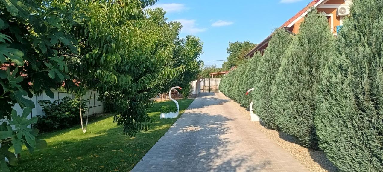 Casute La Curte
