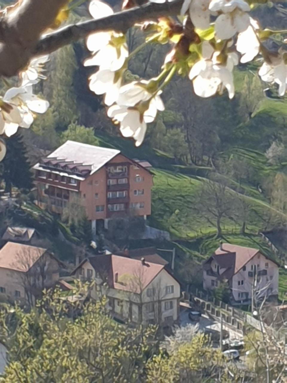 Vila Muntii Bucegi & Spa