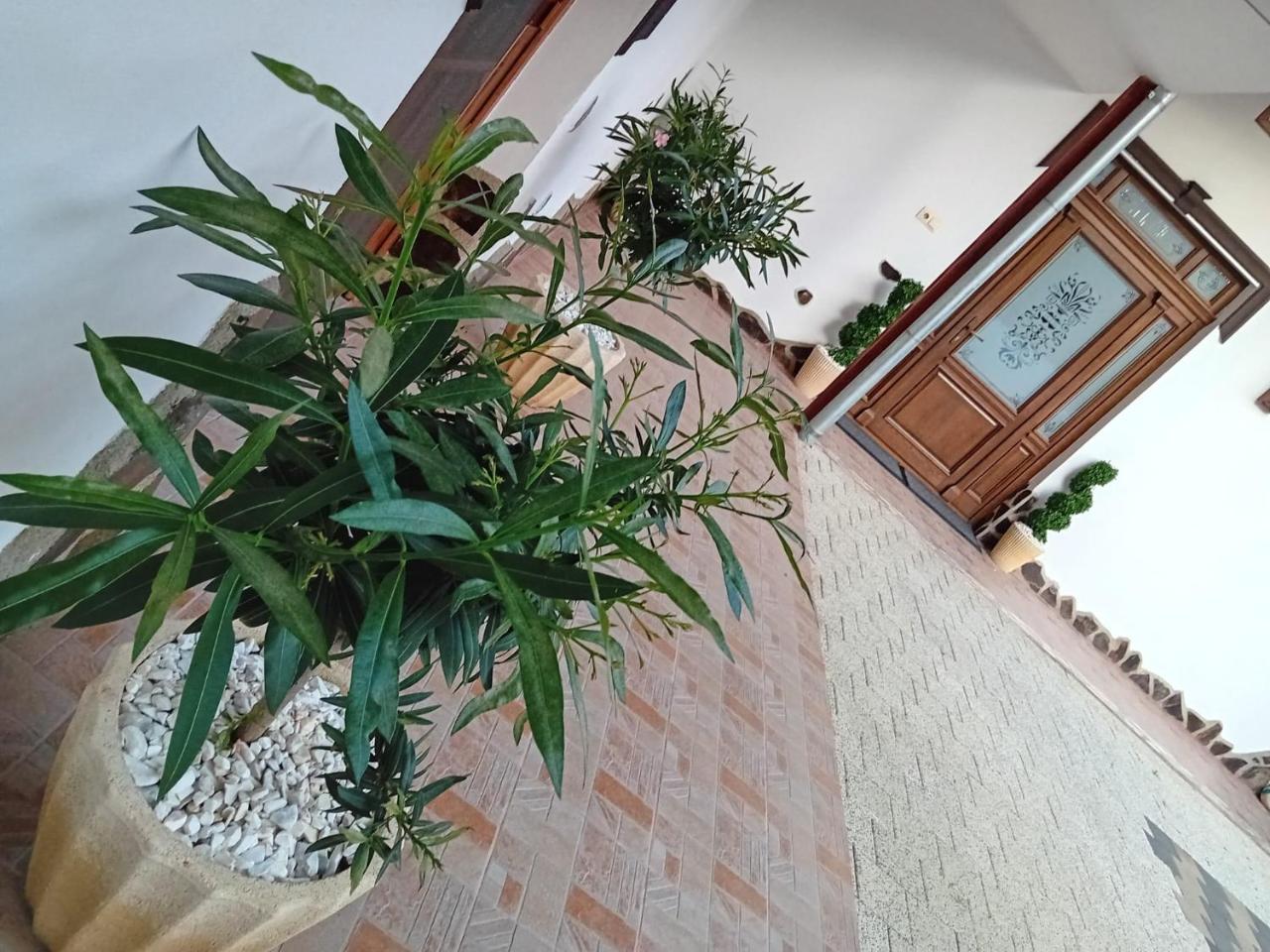 Pensiunea Hanzu Darius