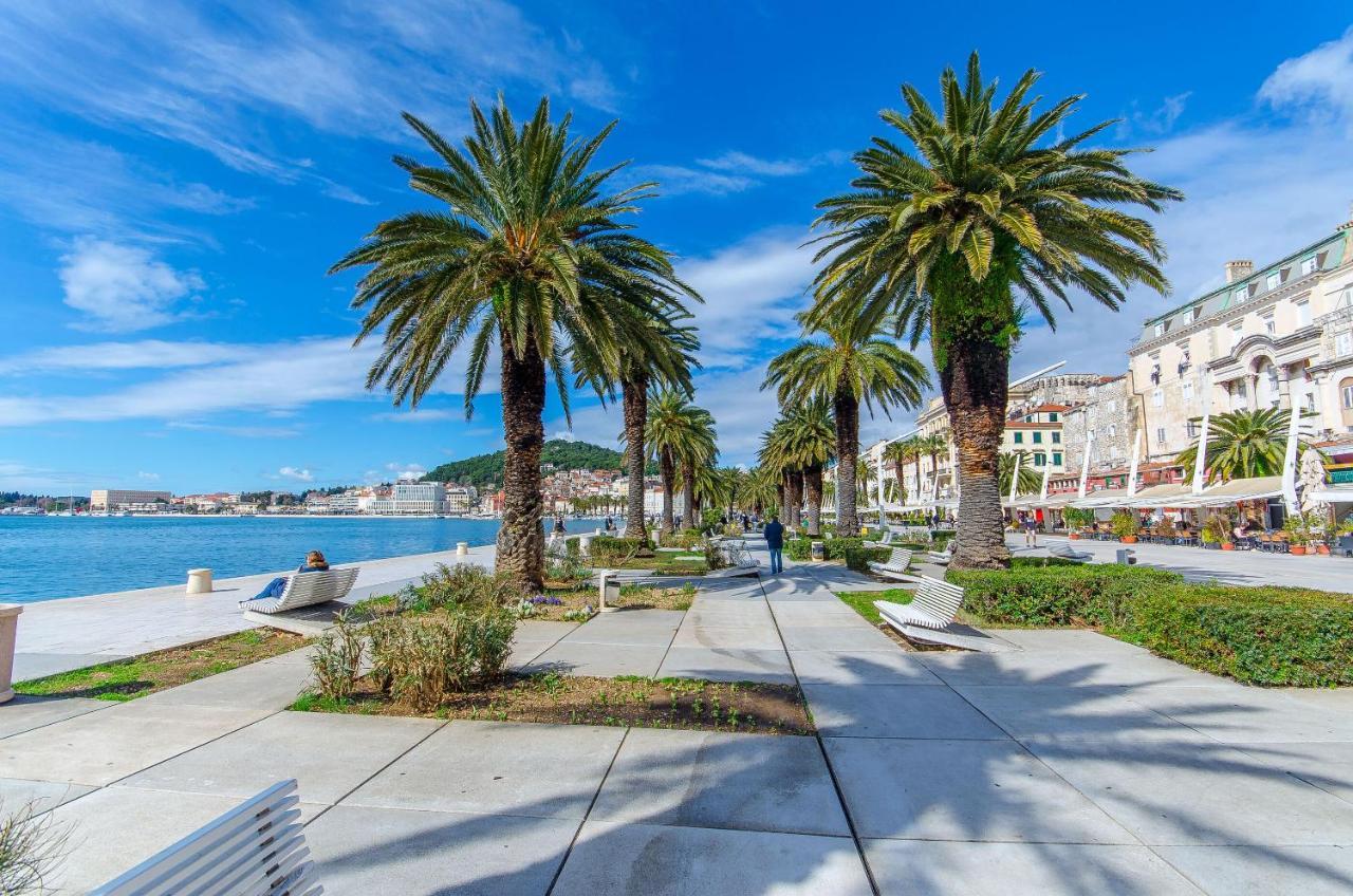 Apartment Black Star