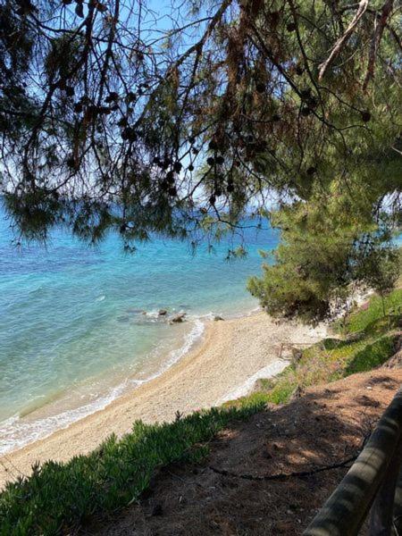 Elia Sithonia Apartment