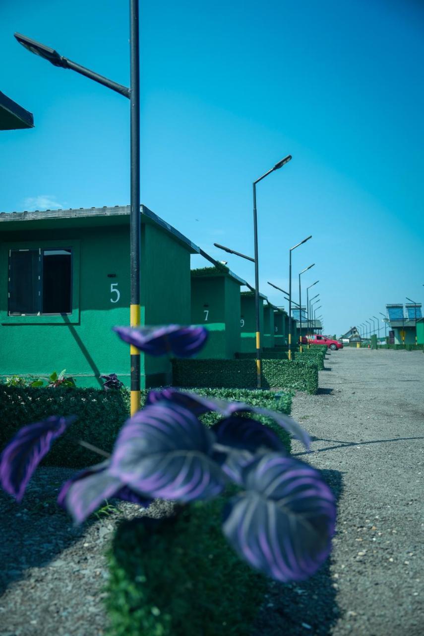 Sax Camping Costinesti