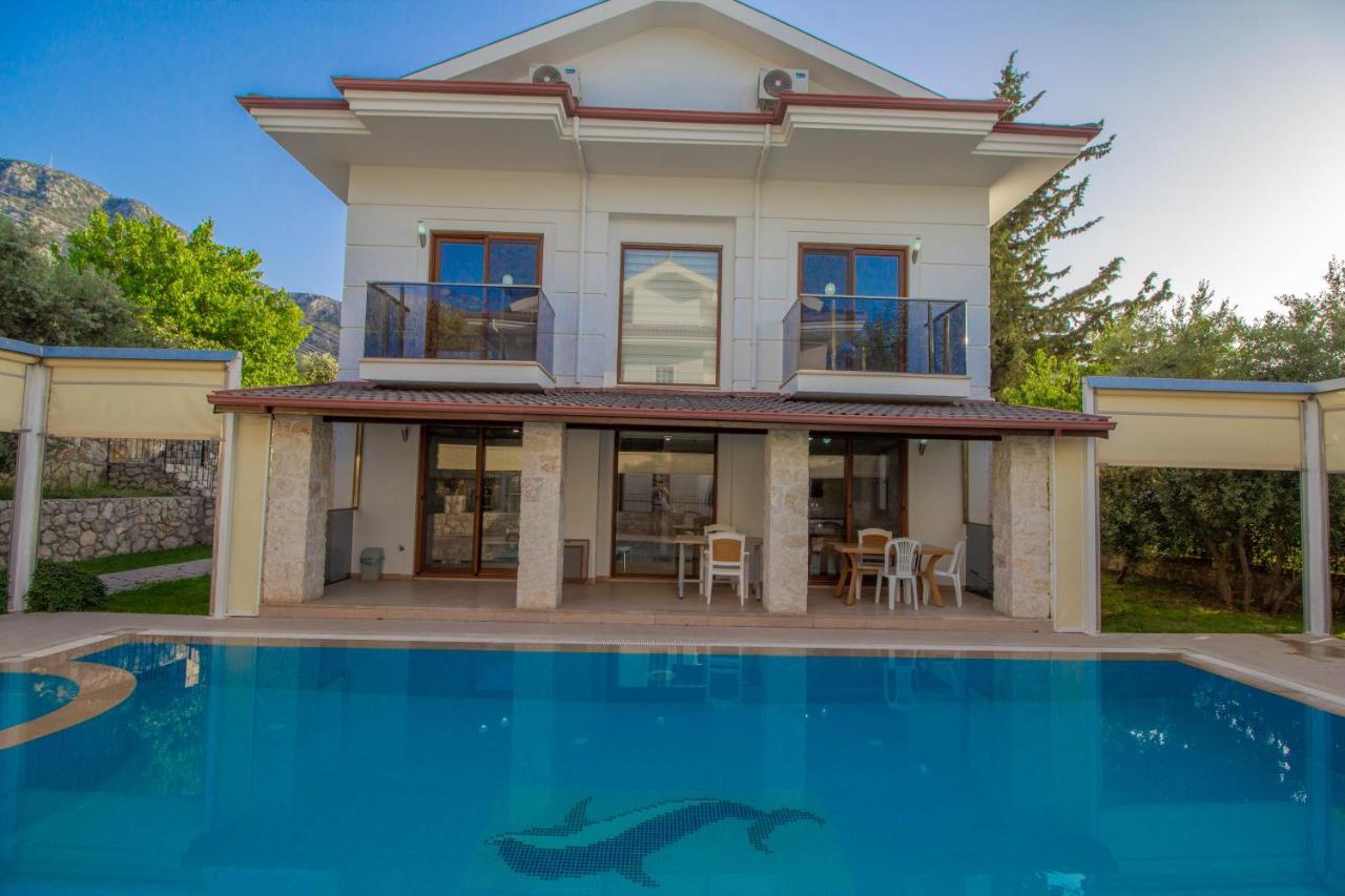 Prestij Amintas Villa