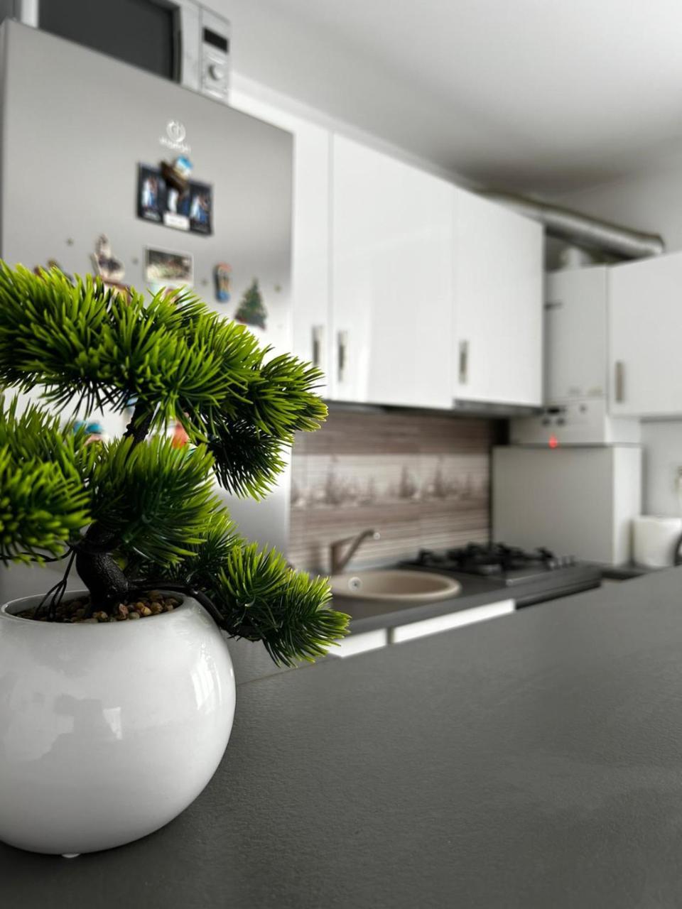 Apartament Cosmina's Dream