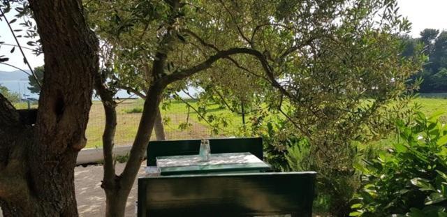 Family Apartment Rita