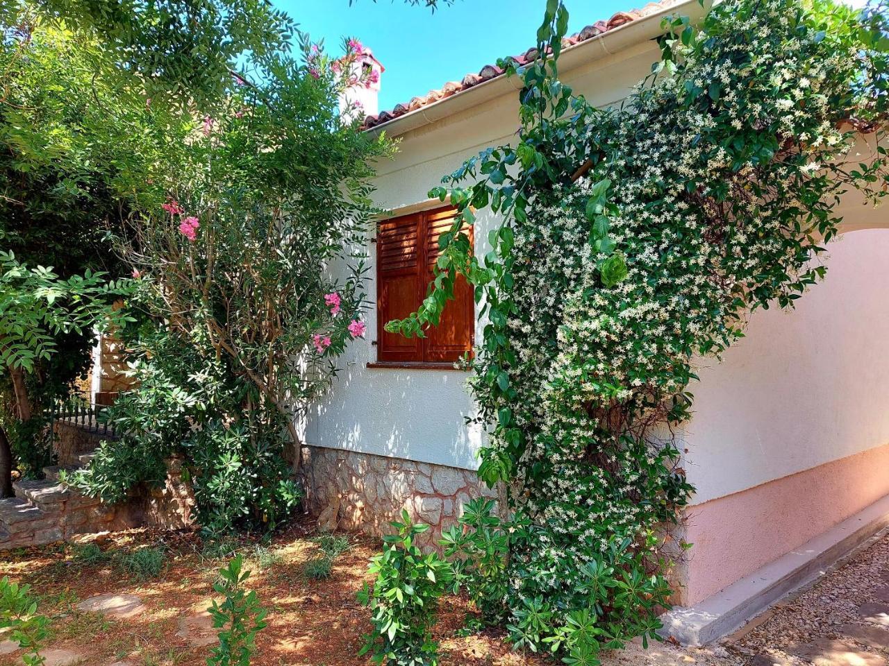 House Leticija Rustica