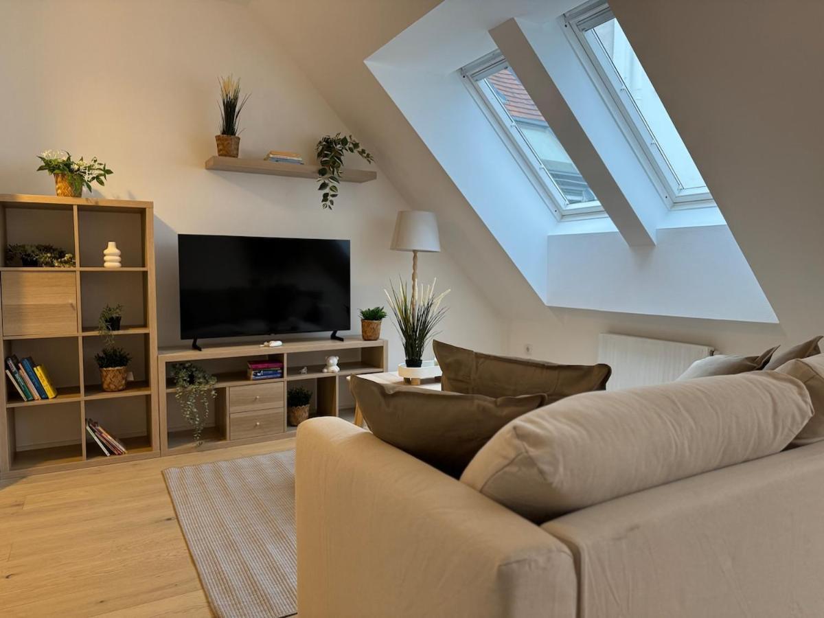 Train Station, 2br, Danube, Kahlenberg, Historic Fhg 20