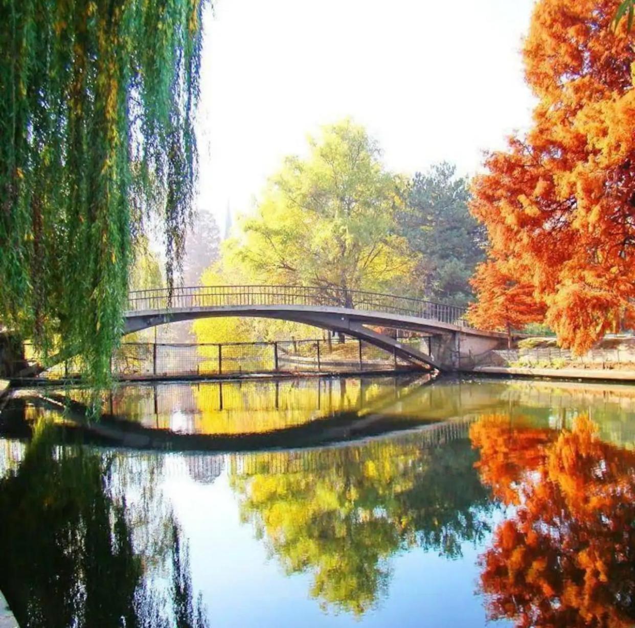 Apartament In Herastrau Self Check-in