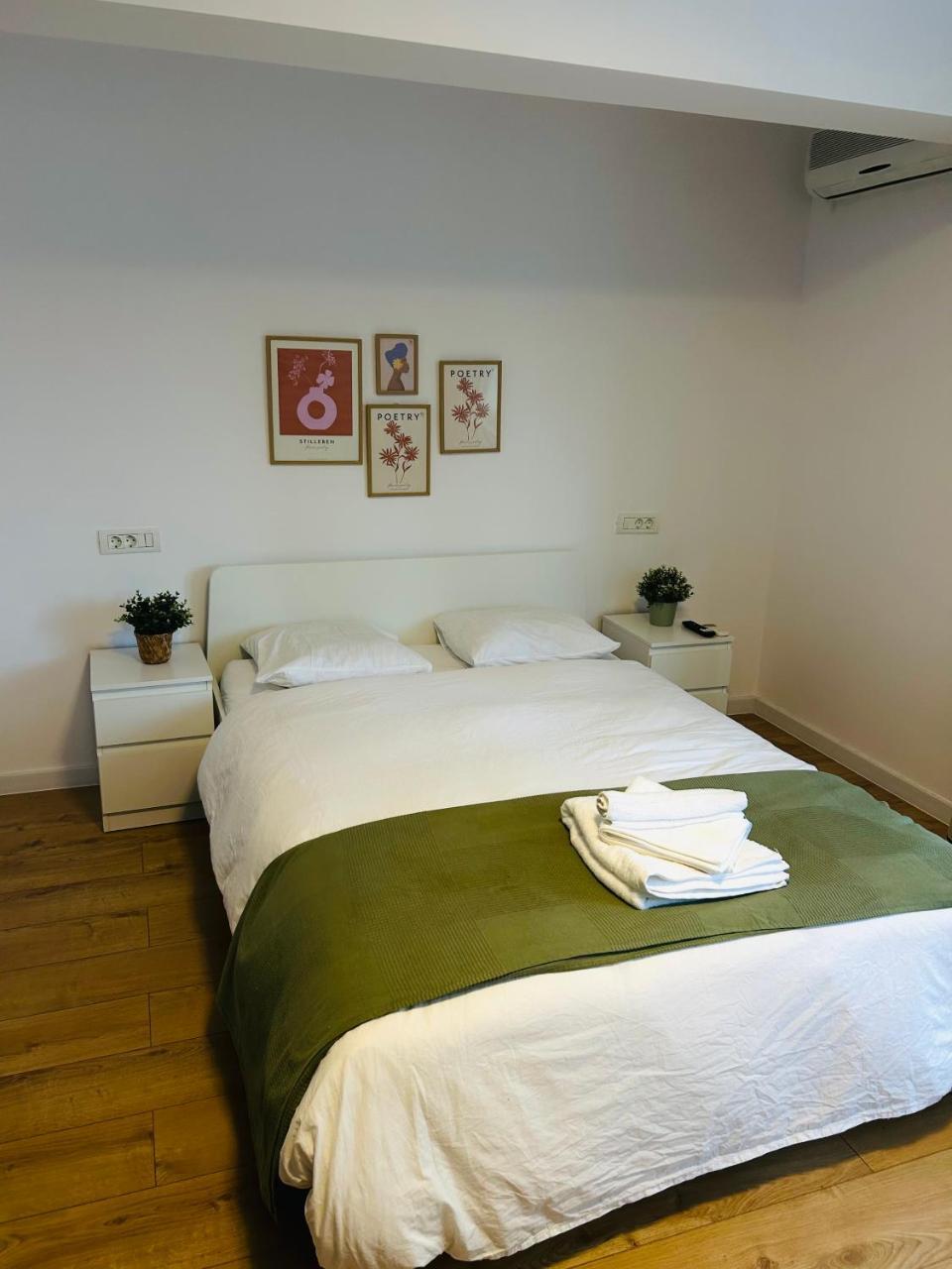 Kiseleff Park Studio