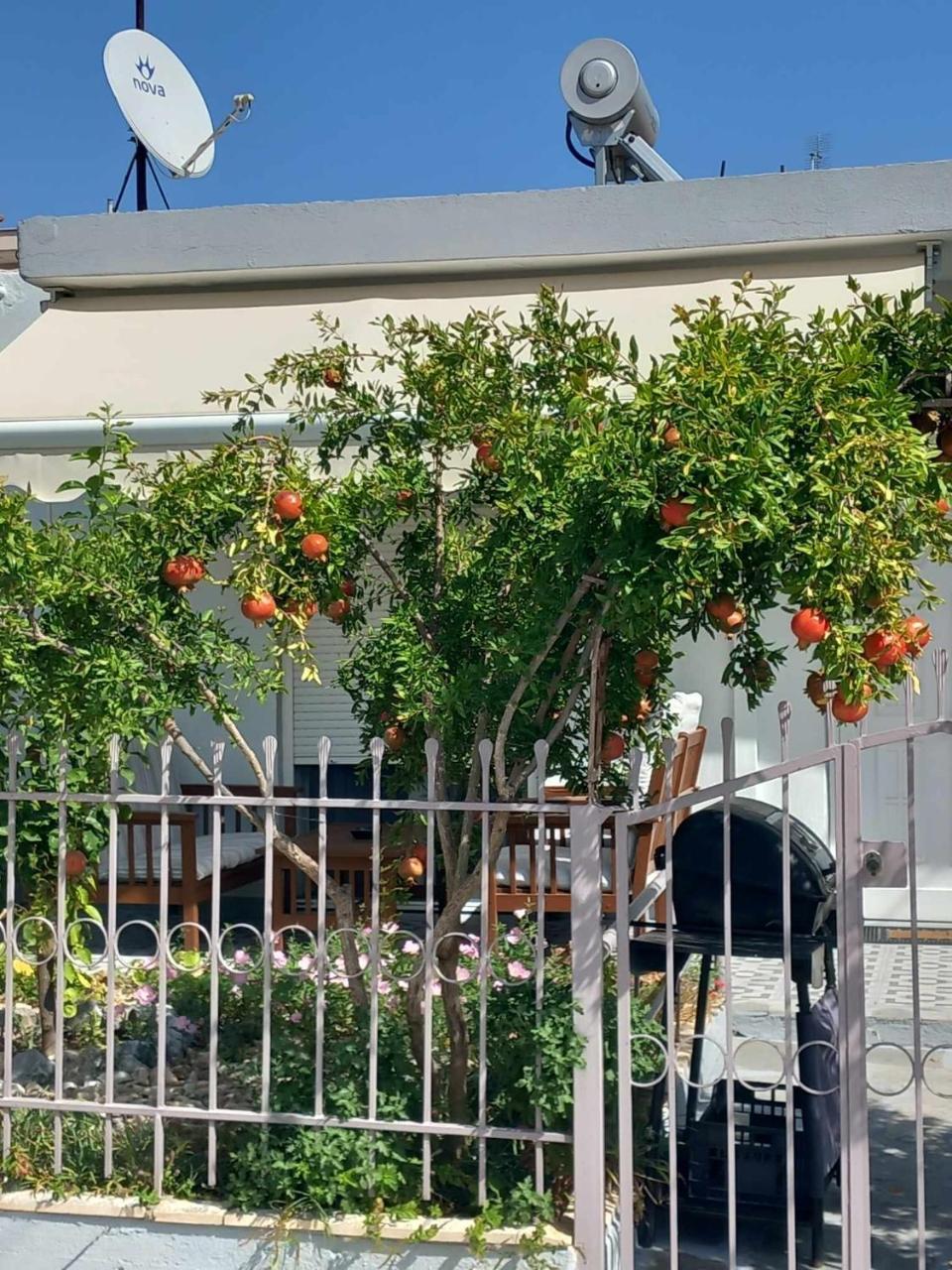 Anastasia's Home