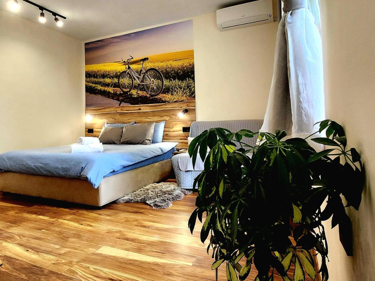 Malavi Tn1 Top Center Studio Ruse