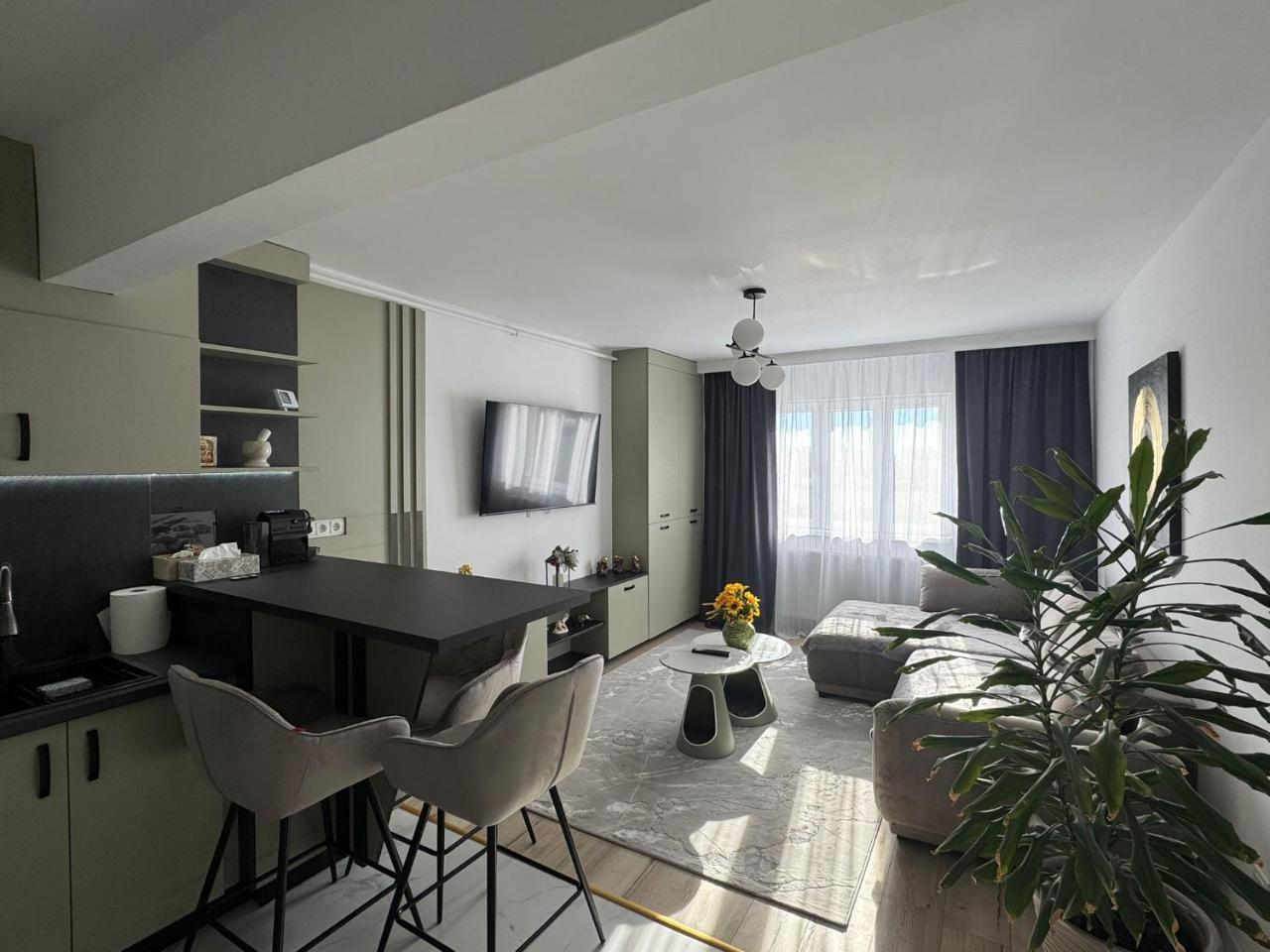 Modern Nest by David