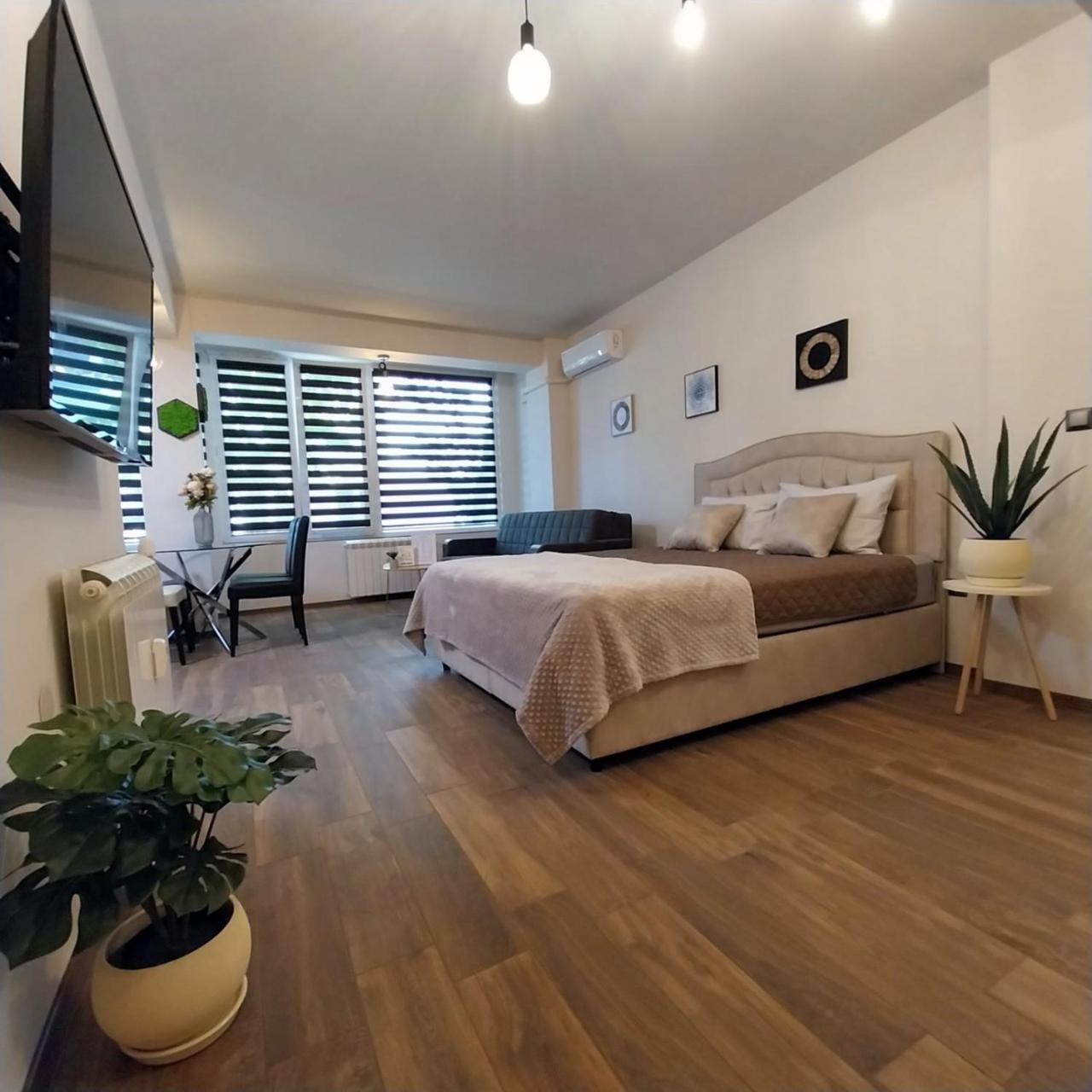 Ika Studio