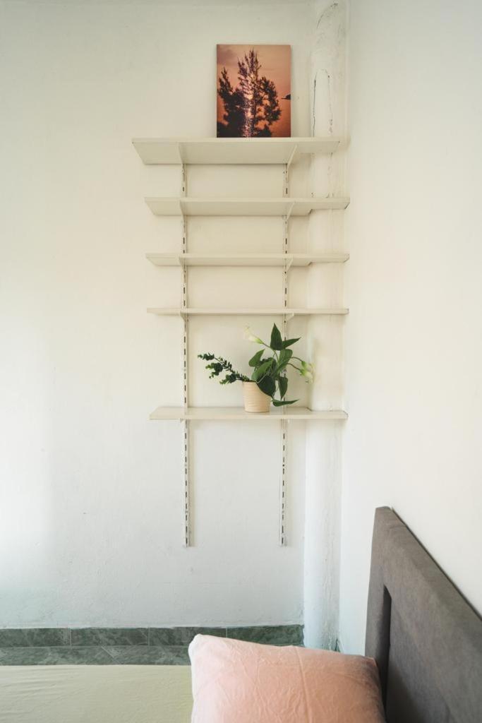 Apartmani Tratincica