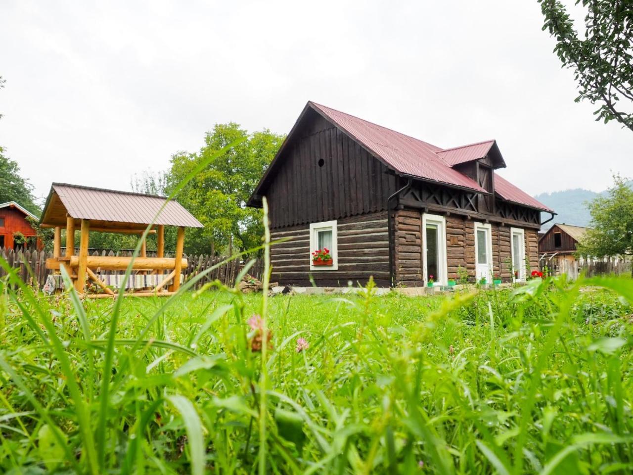 Wild-traditional Bucovina